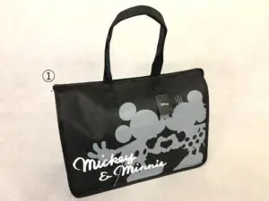 ティアラウィメンズクリニックお産バッグ_ディズニー