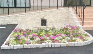 静岡県掛川市産婦人科ティアラウィメンズクリニック花壇