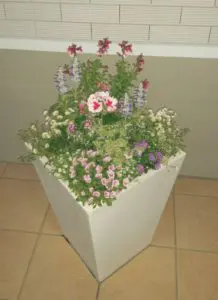 静岡県掛川市産婦人科ティアラウィメンズクリニック花壇