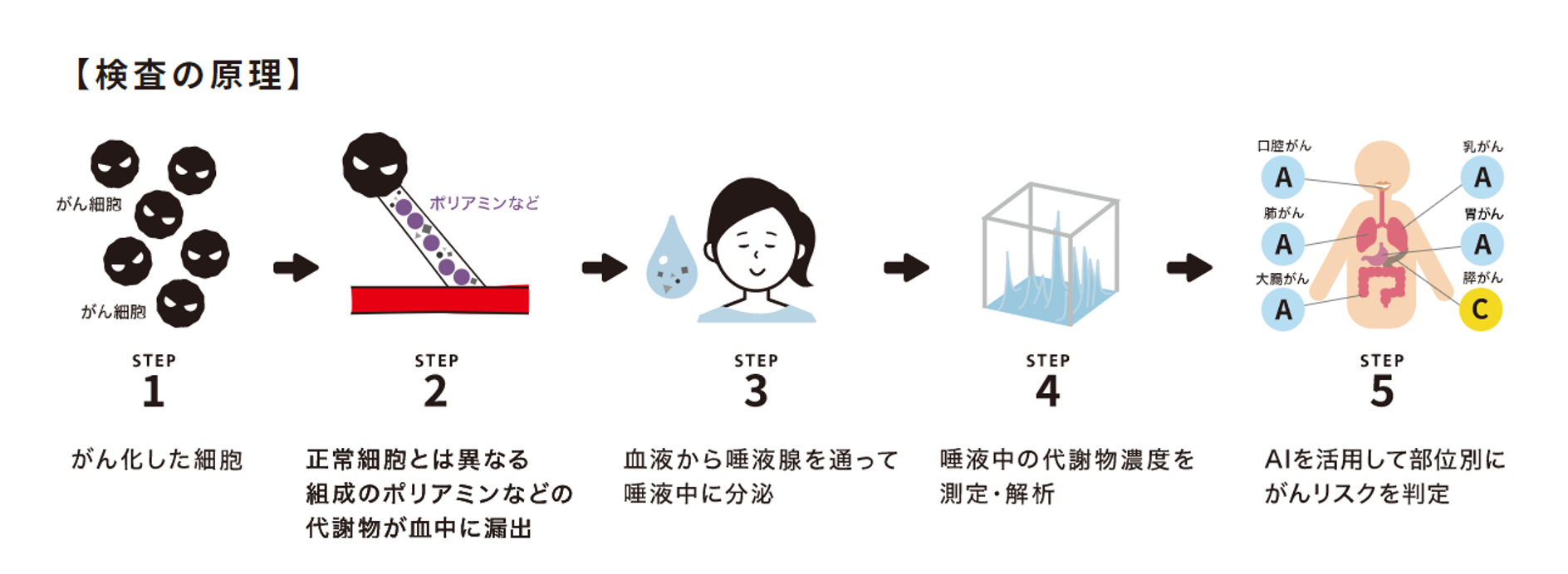 サリバチェッカー検査原理