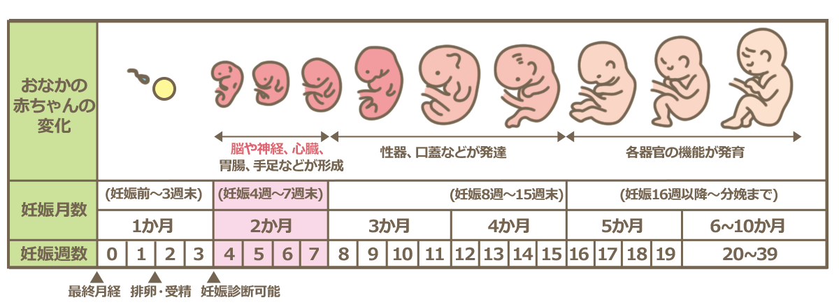 妊娠中の関節炎の症状