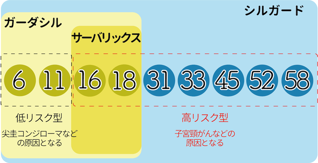 ワクチンに対応するHPV型