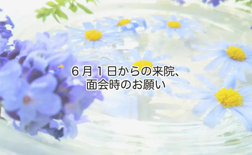 6月1日からの来院、面会のお願い