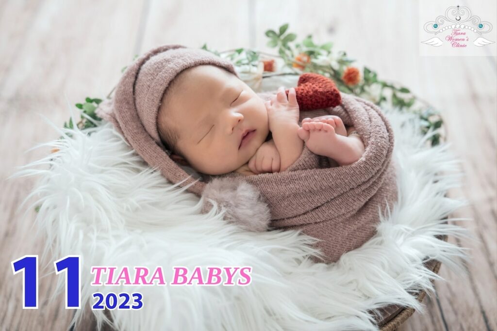 2023年11月に誕生したTiaraBabysです。